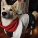 Illustration for article titled Star Doge